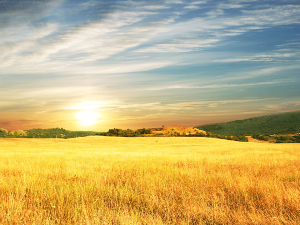 Agricoltura immagine segnaposto